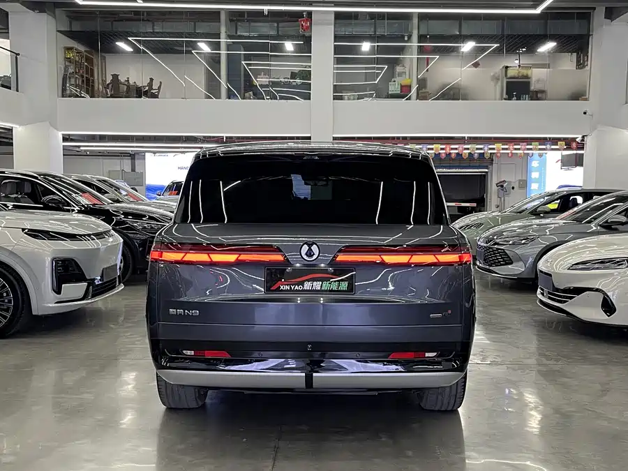 BYD N9