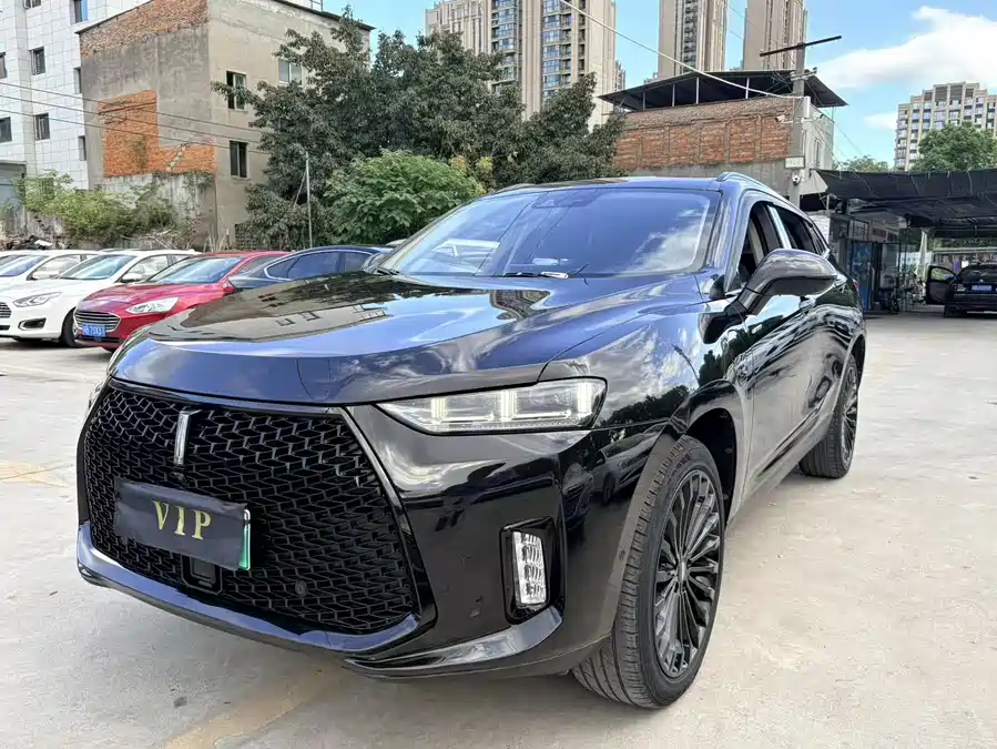 Wey P8