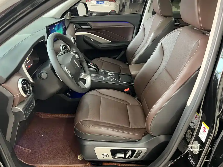Wey VV6