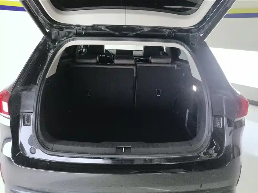 Wey VV6