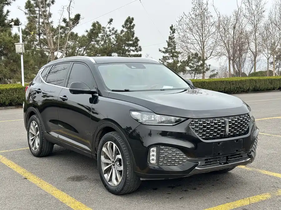 Wey VV6