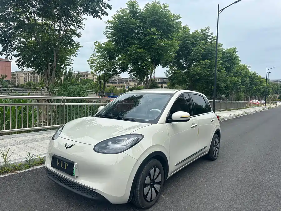Wuling Bingo