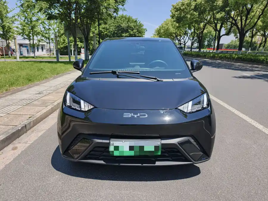 BYD Seagull