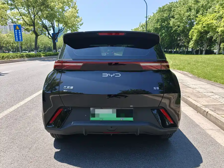 BYD Seagull