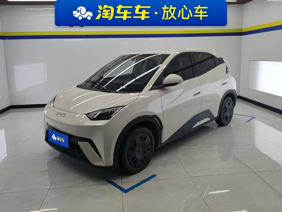BYD Seagull