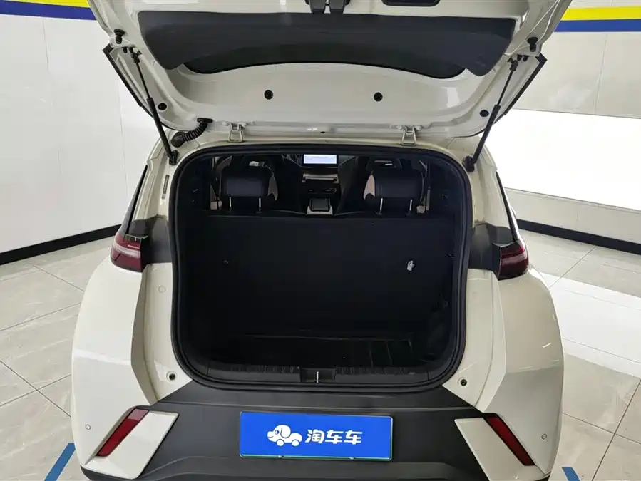 BYD Seagull