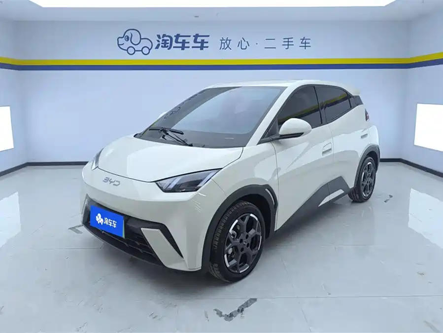 BYD Seagull