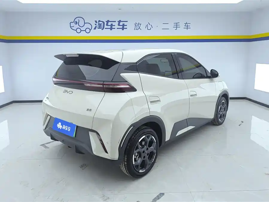 BYD Seagull