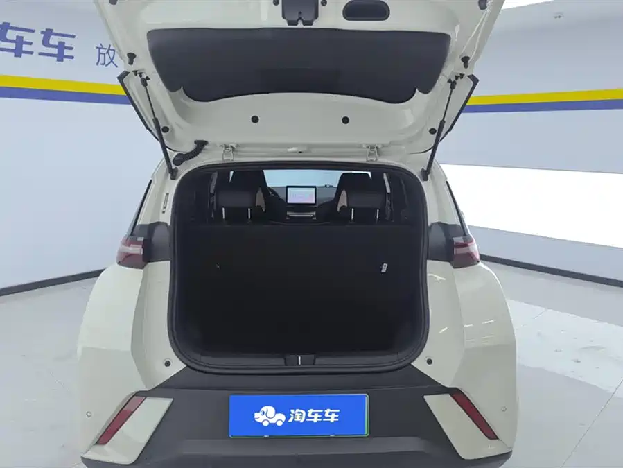 BYD Seagull