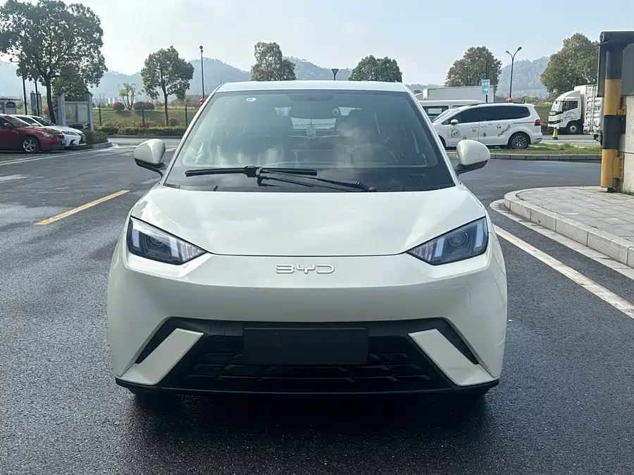 BYD Seagull