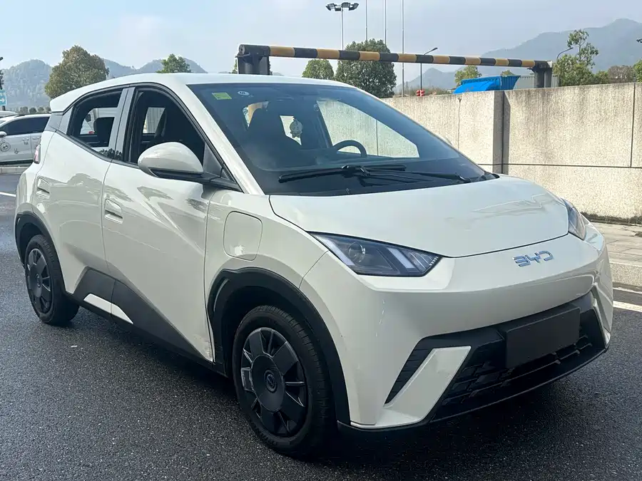 BYD Seagull