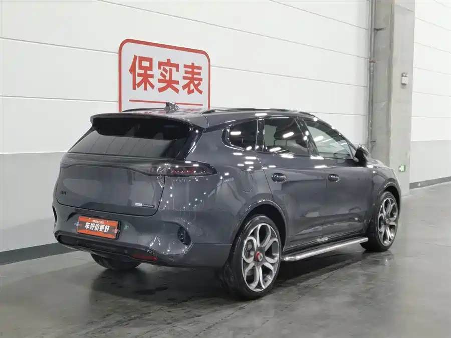 BYD X