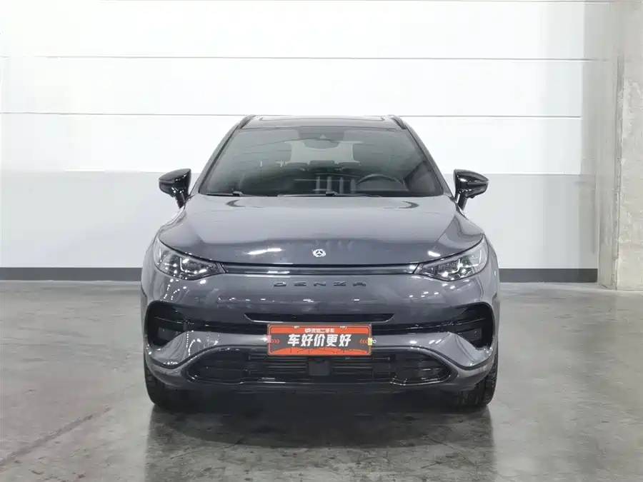 BYD X