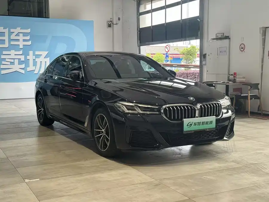 BMW 5 Series New Energy