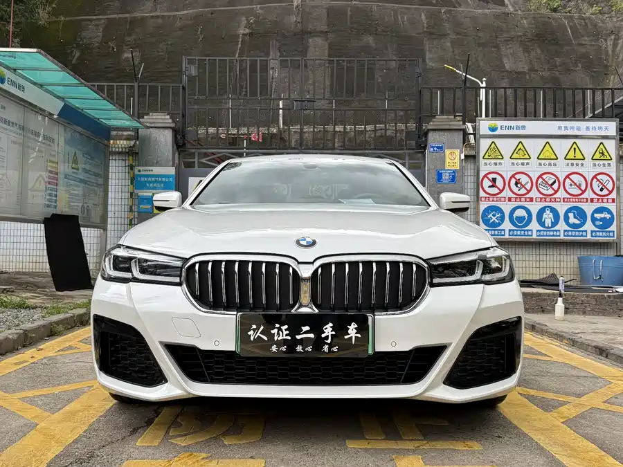 BMW 5 Series New Energy