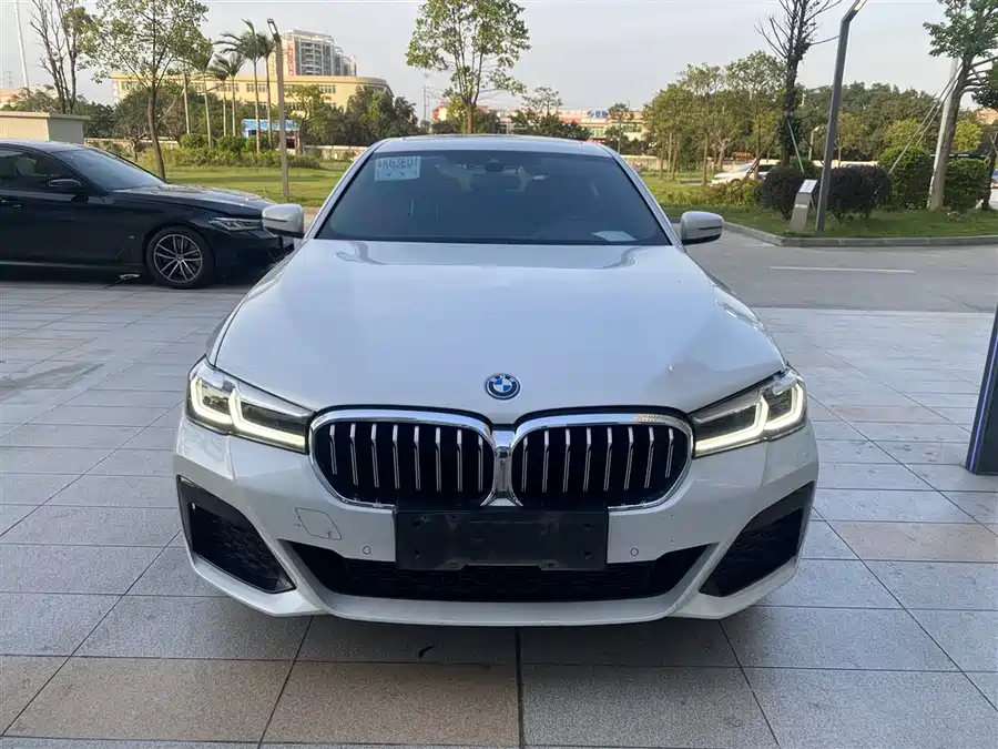 BMW 5 Series New Energy
