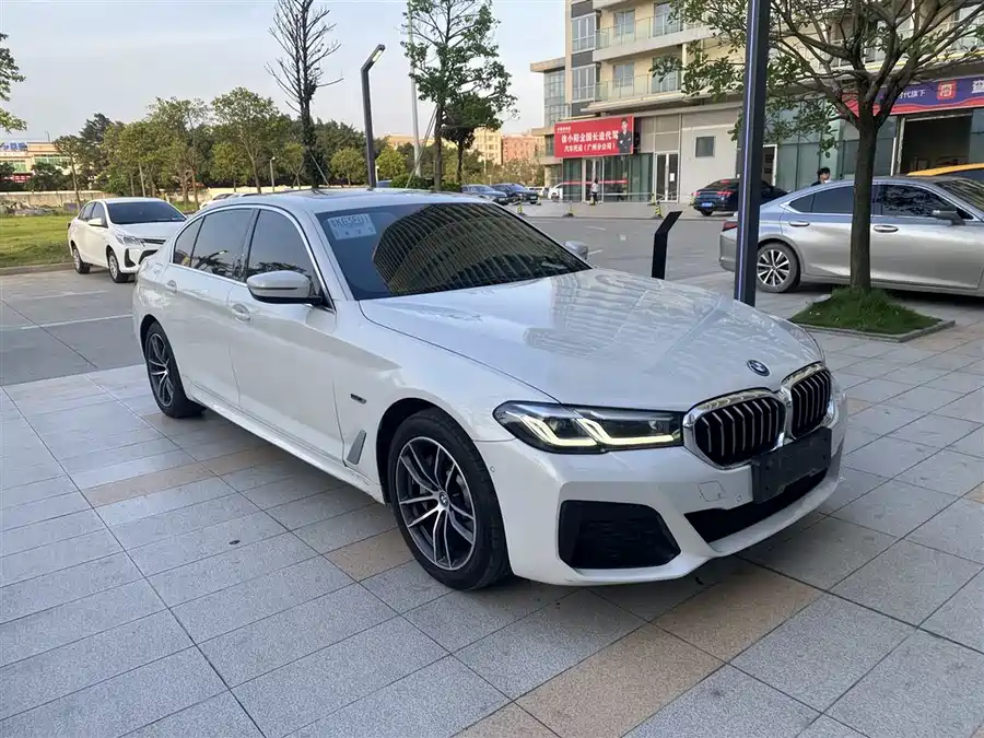 BMW 5 Series New Energy