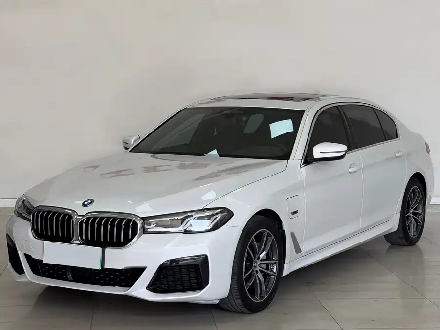 BMW 5 Series New Energy