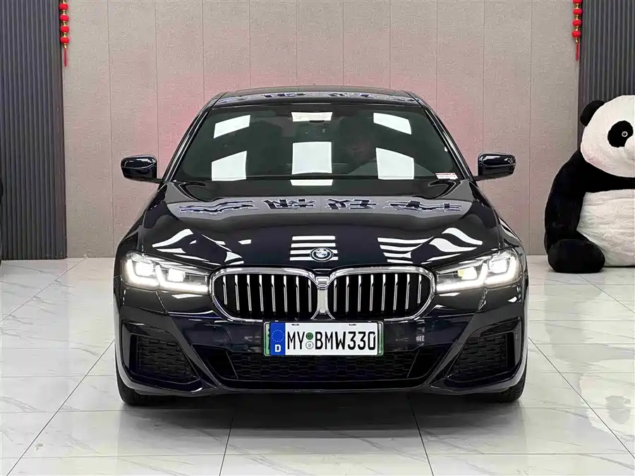 BMW 5 Series New Energy