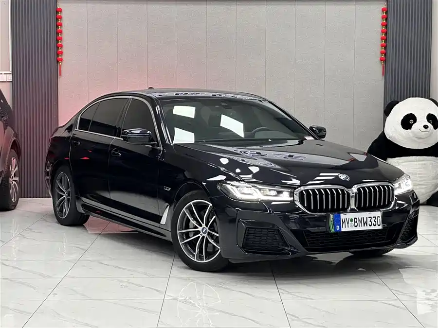 BMW 5 Series New Energy