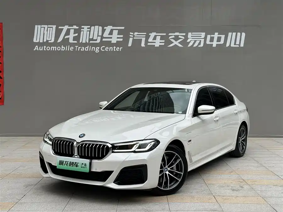 BMW 5 Series New Energy