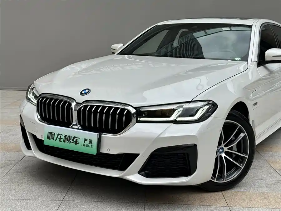 BMW 5 Series New Energy