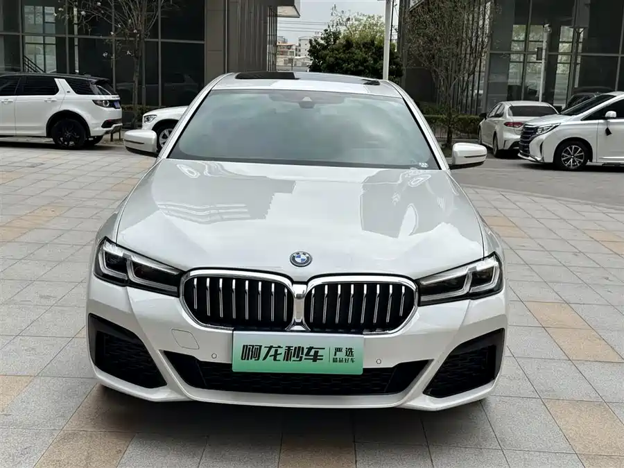 BMW 5 Series New Energy