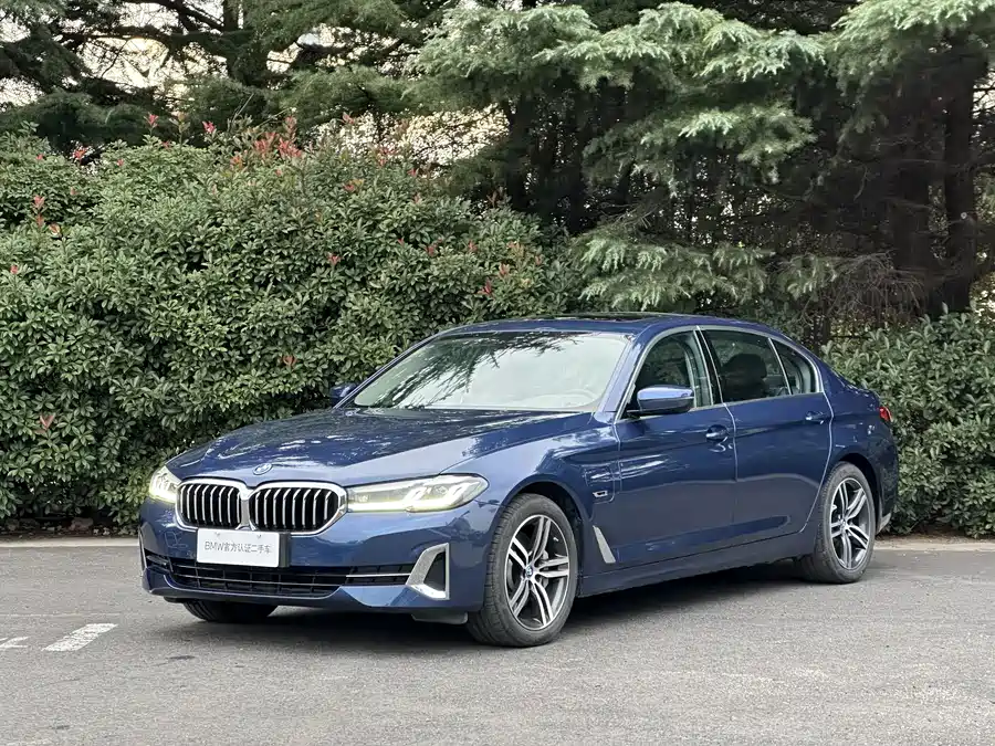 BMW 5 Series New Energy