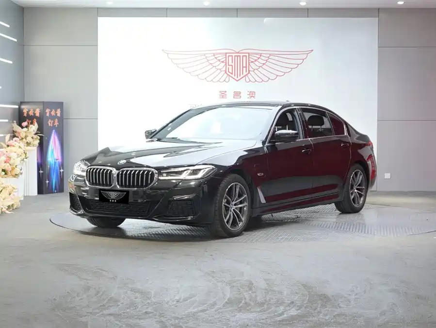 BMW 5 Series New Energy