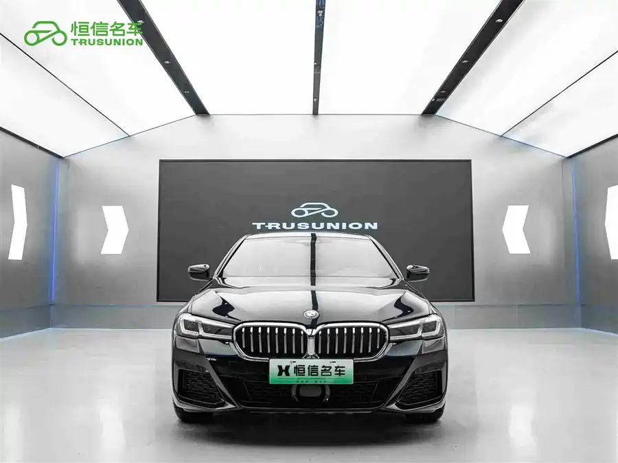 BMW 5 Series New Energy