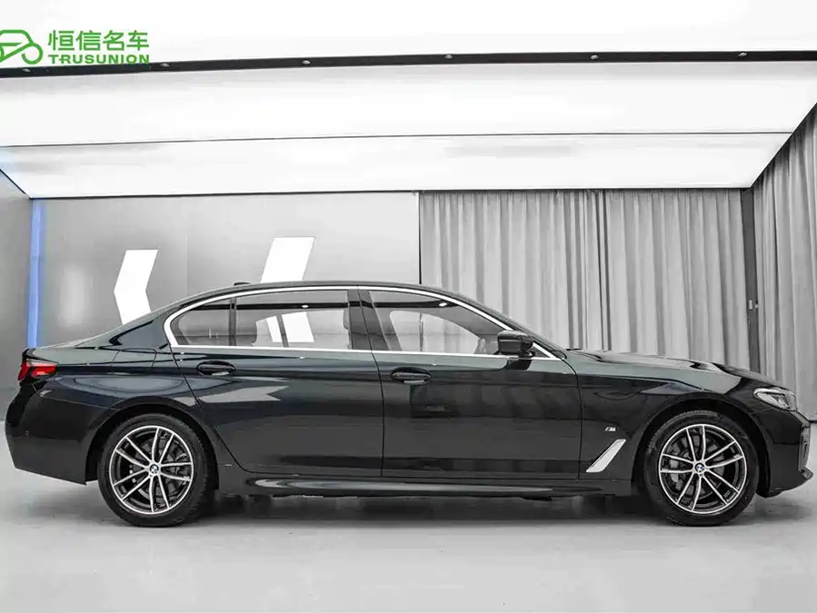 BMW 5 Series New Energy