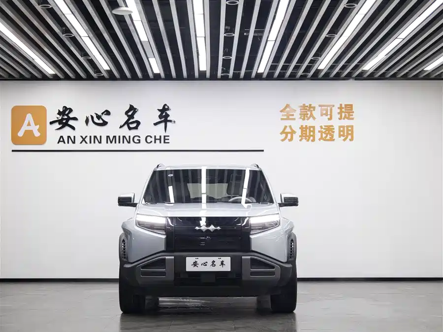 BYD Leopard Titanium 3