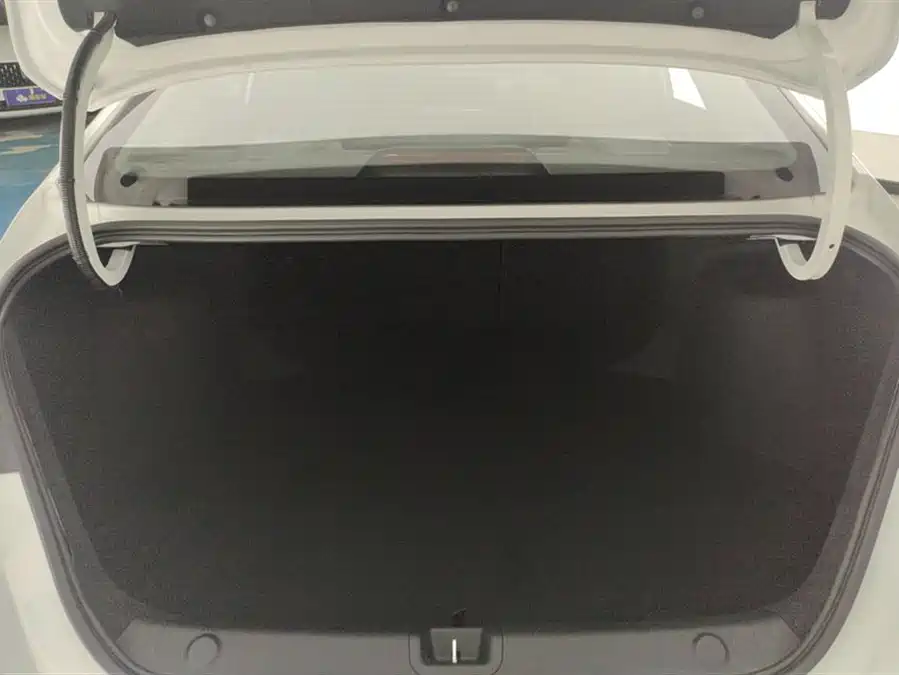 Geely Binrui