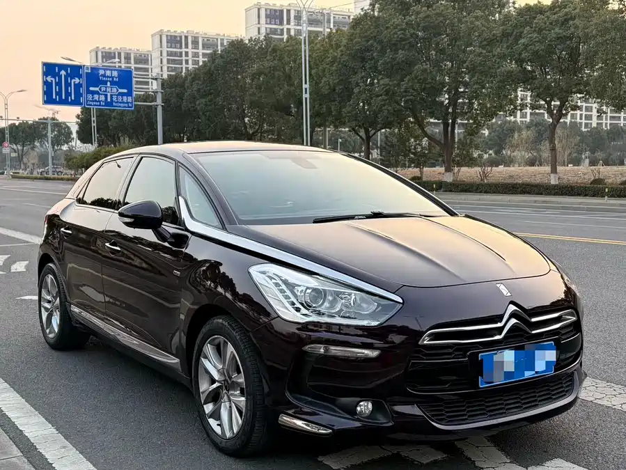 DS 5
