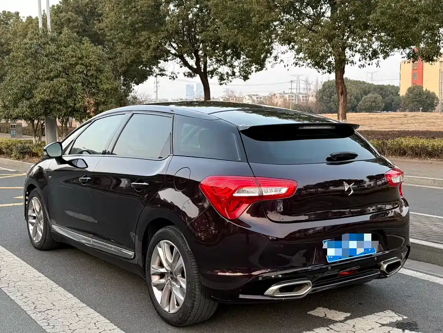 DS 5