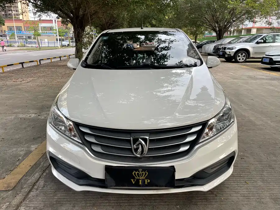 Baojun 310