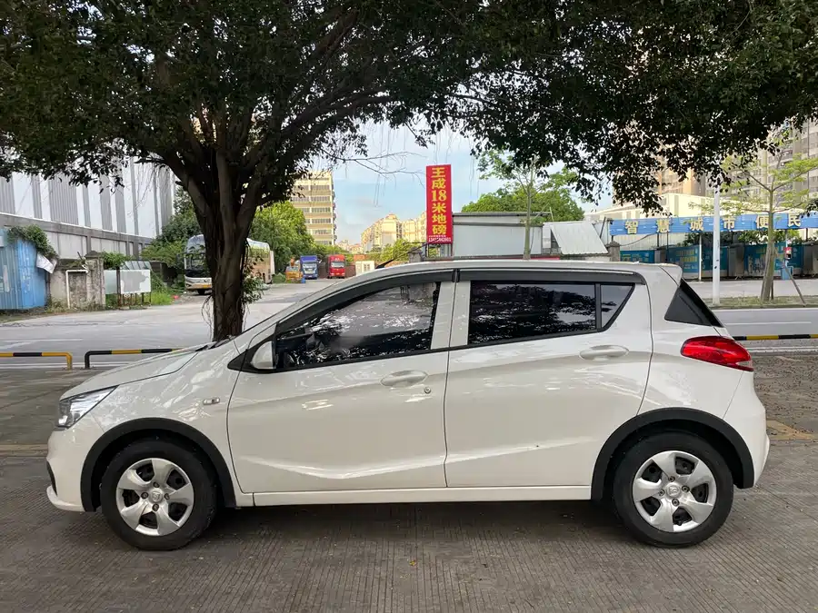 Baojun 310