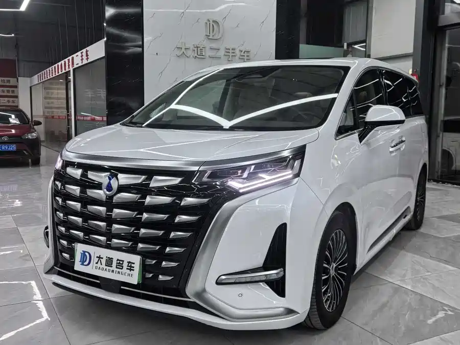 BYD D9