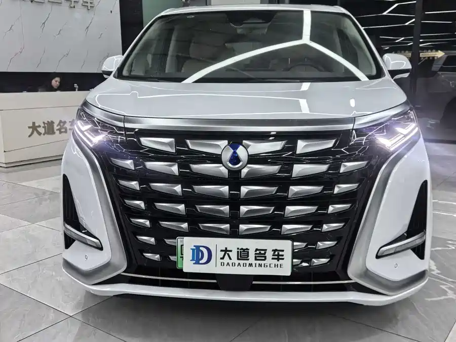 BYD D9