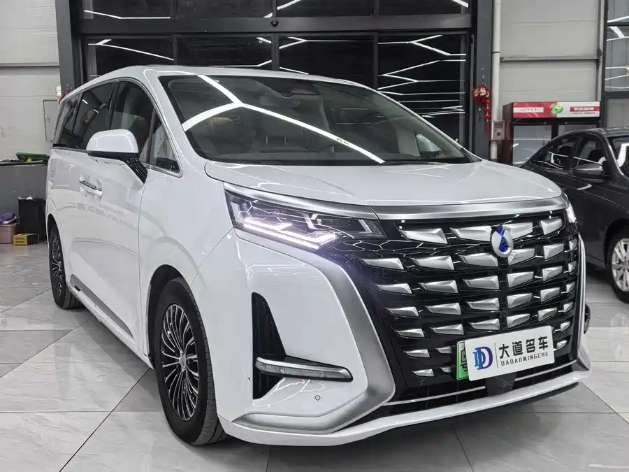 BYD D9