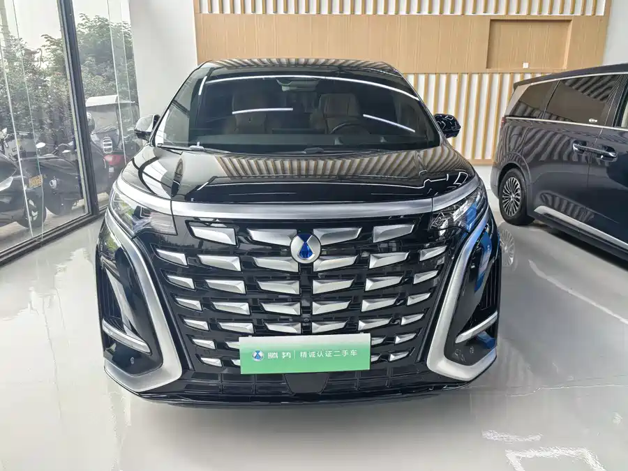 BYD D9