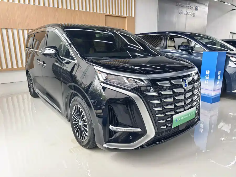 BYD D9