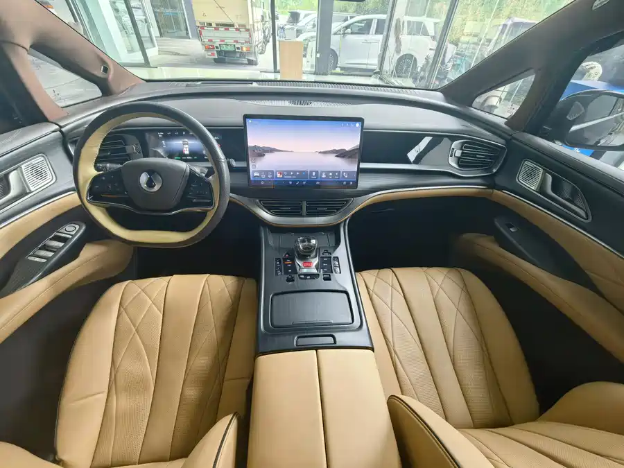 BYD D9
