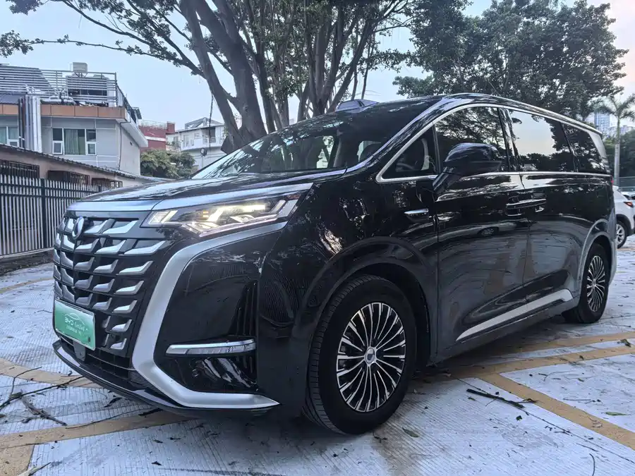 BYD D9
