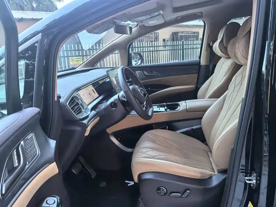 BYD D9
