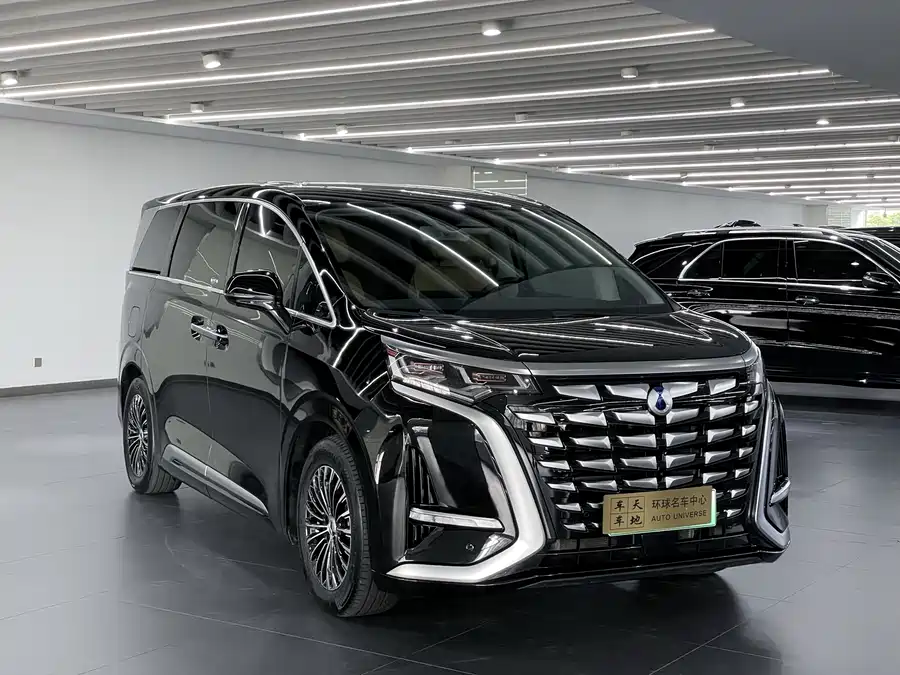 BYD D9