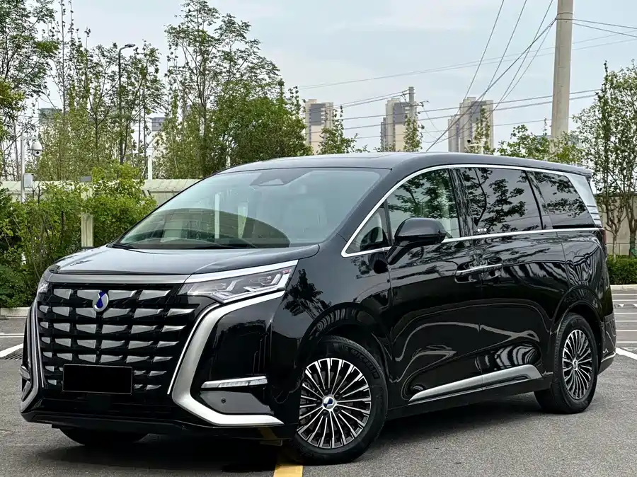 BYD D9