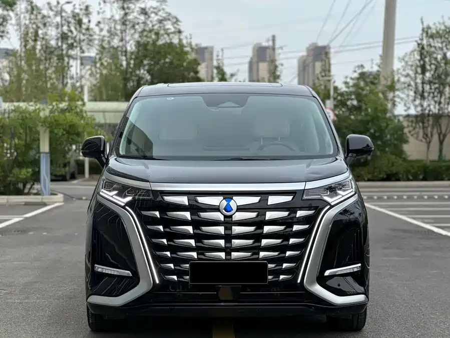 BYD D9
