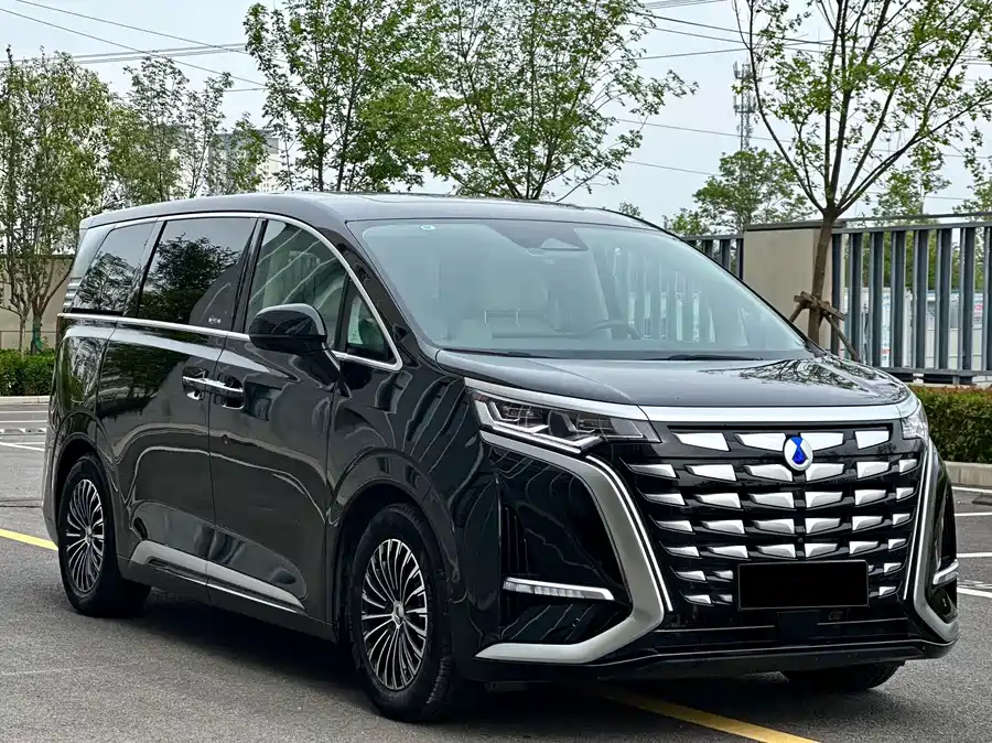 BYD D9
