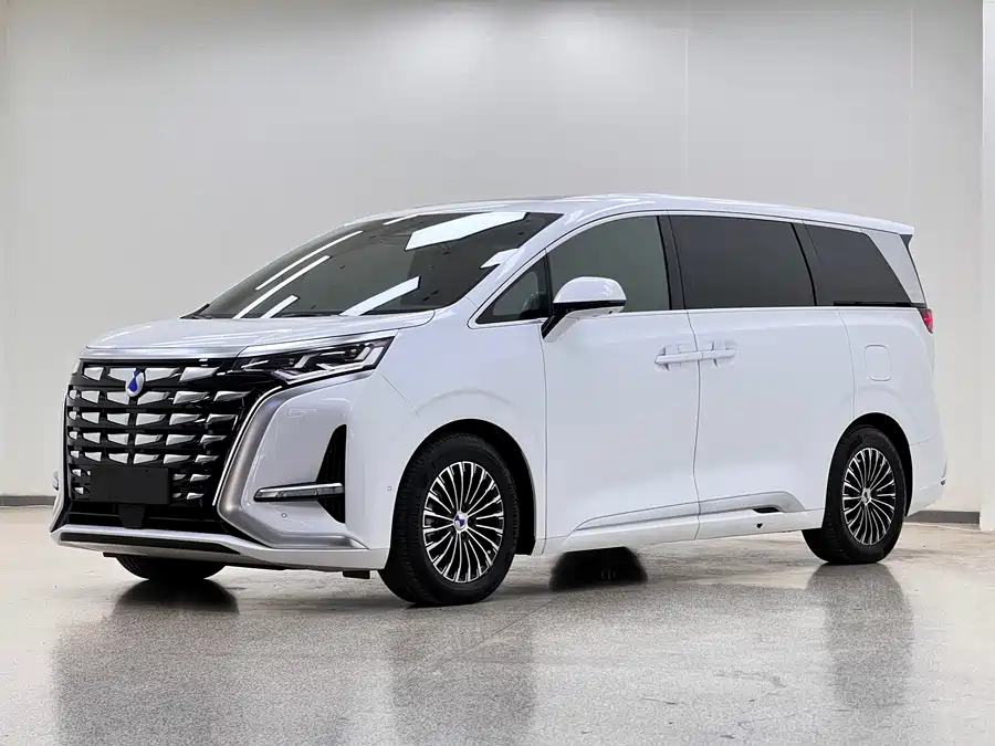 BYD D9